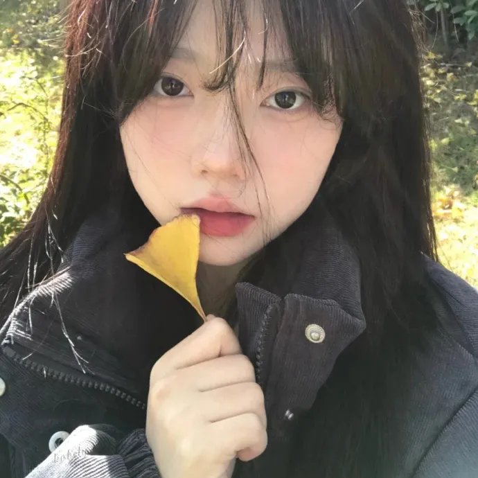 霹雳娇娃